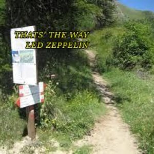 album THAT'S THE WAY LED ZEPPELIN COVER - Alex Snipers