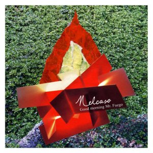 album Good Morning mr. Fuego - Nelcaso