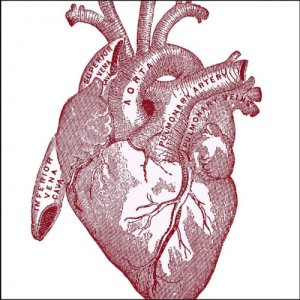 album Love Songs - Nic Sarno