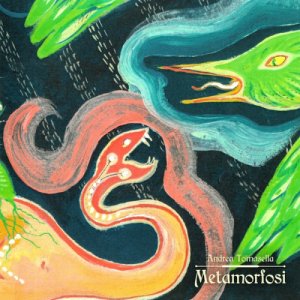 album METAMORFOSI - Andrea Tomasella