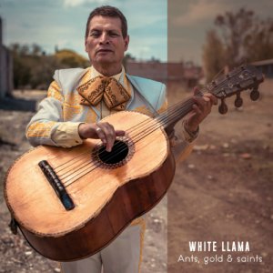 album Ants, gold & saints - White Llama