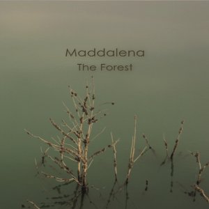 album THE FOREST - Maddalena