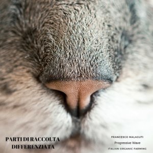 album Parti di raccolta Differenziata (Organica Random) - Francesco Malaguti