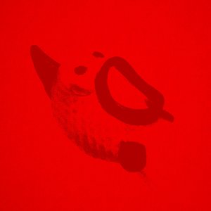 album Deconcentrazione - Bruuno