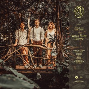 album Wilting Rooting Blooming - Crying Day Care Choir