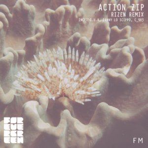 album Action Zip - Rizen (Remix) - Split