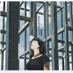 album And you can't build the night - Diana.musica