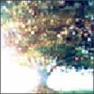 album impedence days - APASH 2012