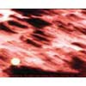 album Odissea nella terra del vento - Taranta Terapy