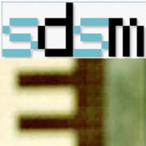 album SDSM '08 - Le interviste - Split