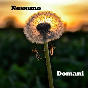 album Domani(strumentale) - Le Cose dei Licianni