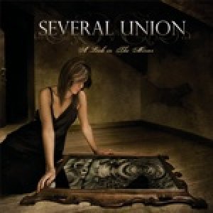 album A Look in the Mirror - Several Union