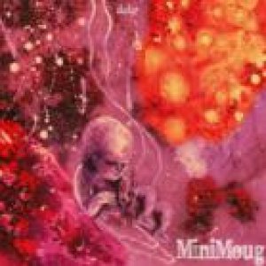 album Delir - MiniMoug ( Massimiliano Gallo )