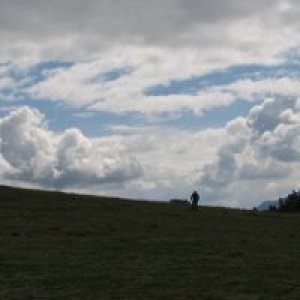 album Forcipe - Davide Carrozza