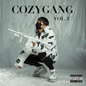 Cover Cozygang Vol 1