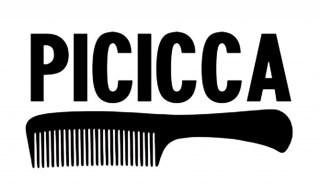 logo_PICICCA
