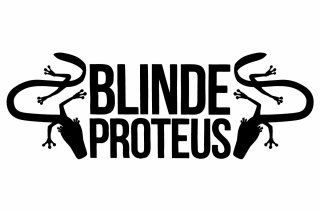 BLINDE-PROTEUS_logo_B.jpg