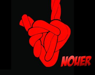 Logo Nouer