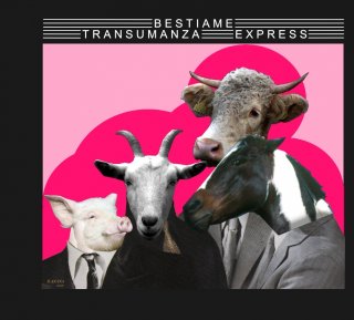 BESTIAME - TRANSUMANZA EXPRESS