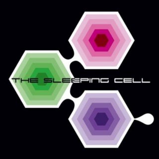 24.11 THE SLEEPING CELL
