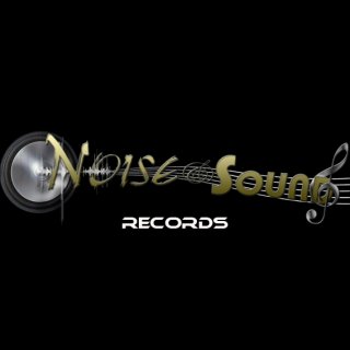 Noise and Sound Records