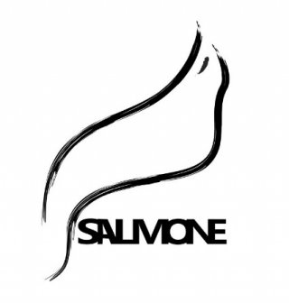 Slm Logo