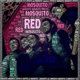 Red Mosquito 2