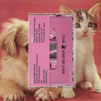 CASSETTE - TVB Kind of love