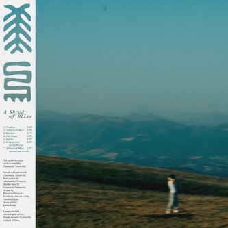 “A Shred of Bliss” Vinyl