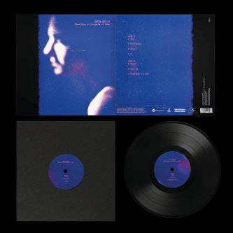 Vinile "Something is changing at home" - Gaia Rollo