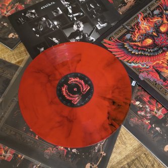 VINILE FENICE