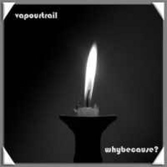 Copertina dell'album WhyBecause?, di Vapour Trail