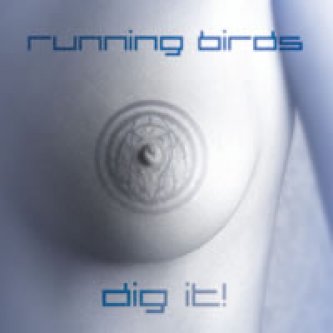 Copertina dell'album Dig It!, di the running birds