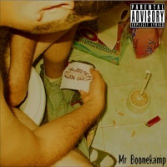 Copertina dell'album Mr Boonekamp, di Mr Boonekamp