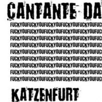 Copertina dell'album Katzenfurt, fuck you!, di cantante dabard