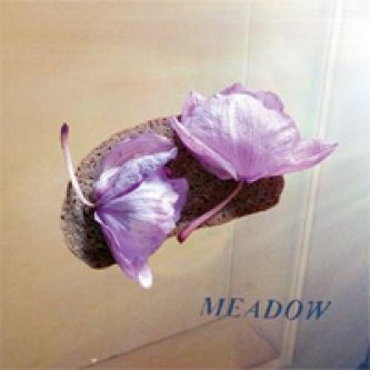 Copertina dell'album Meadow Ep, di Meadow