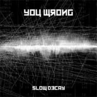 Copertina dell'album You Wrong Slow Decay 2009, di You Wrong