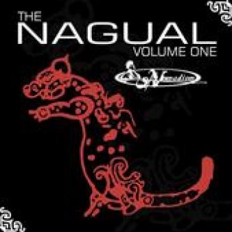 Copertina dell'album The Nagual vol.1, di Dirtyfake