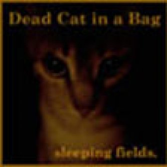Copertina dell'album Sleeping Fields, di Dead Cat in A Bag