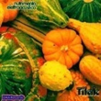 Copertina dell'album Nutrimento elettroacustico, di Tilak