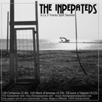 Copertina dell'album DIY 3 tracks split sessions, di The Inpepateds