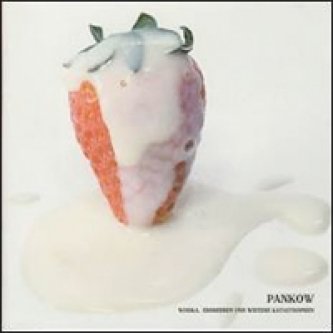 Copertina dell'album Wodka, erdbeeren und weitere katastrophen, di Pankow