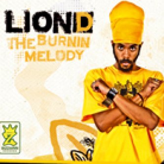 Copertina dell'album The Burnin Melody, di Lion D