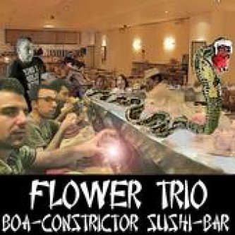 Copertina dell'album Boa Constrictor Sushi Bar, di Flower Trio