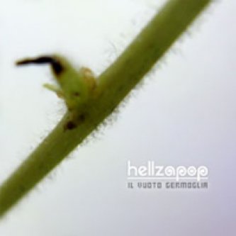 Copertina dell'album Il Vuoto Germoglia, di Hellzapop