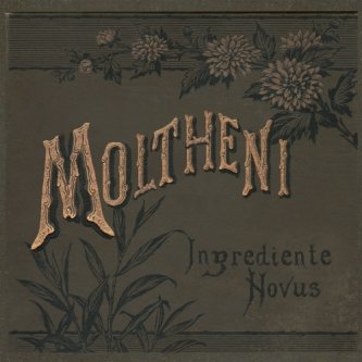 Copertina dell'album Ingrediente Novus, di Umberto Maria Giardini