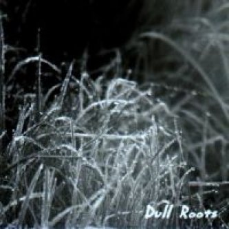 Copertina dell'album Dull Roots, di Big Trivella