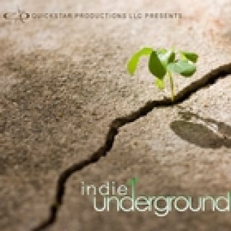 Copertina dell'album Indie underground vol.8, di Dirtyfake