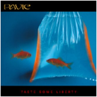 Copertina dell'album Taste Some Liberty, di Pavic