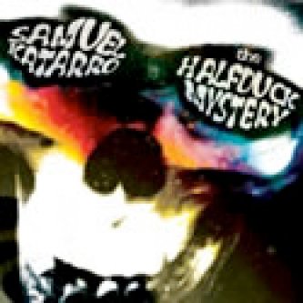 Copertina dell'album The Halfduck Mystery, di Samuel Katarro
